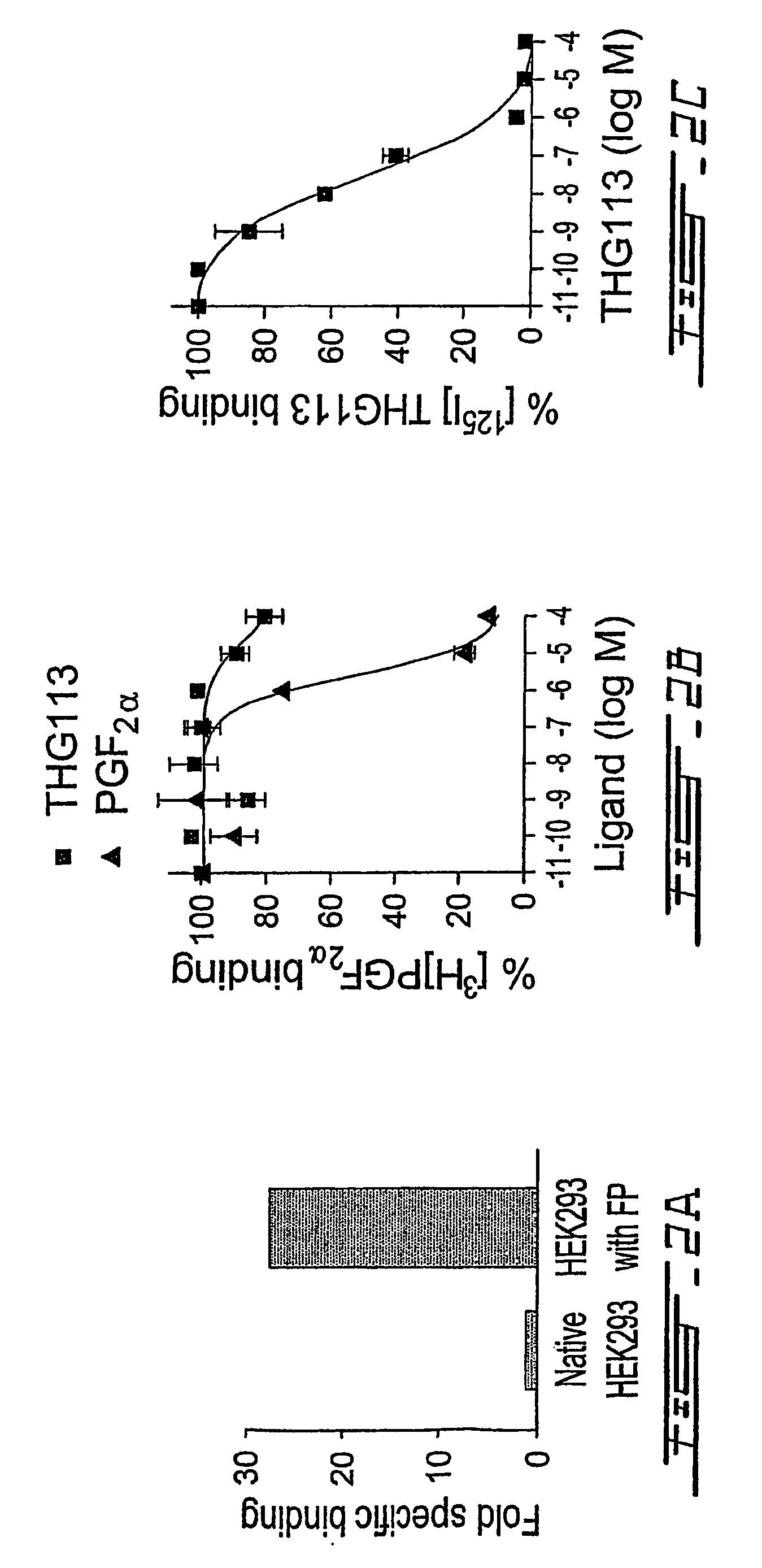 Peptides and peptidomimetics useful for inhibiting the activity of prostaglandin F2alpha receptor