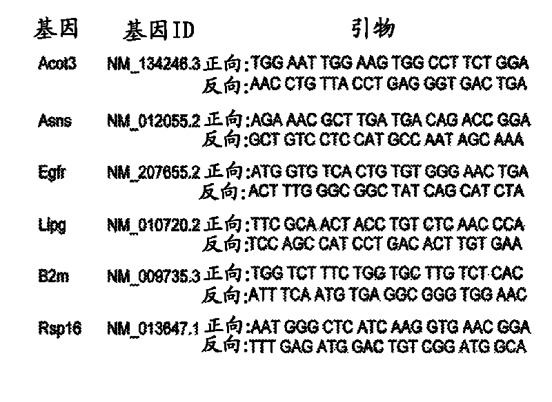 Sirt4 and uses thereof