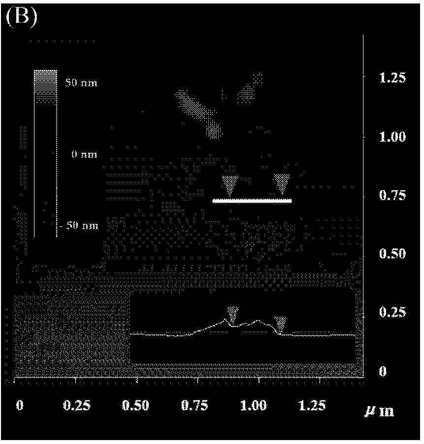 Chlorotoxin-targeted oxidized graphene nanometer material used for transporting antitumor drug