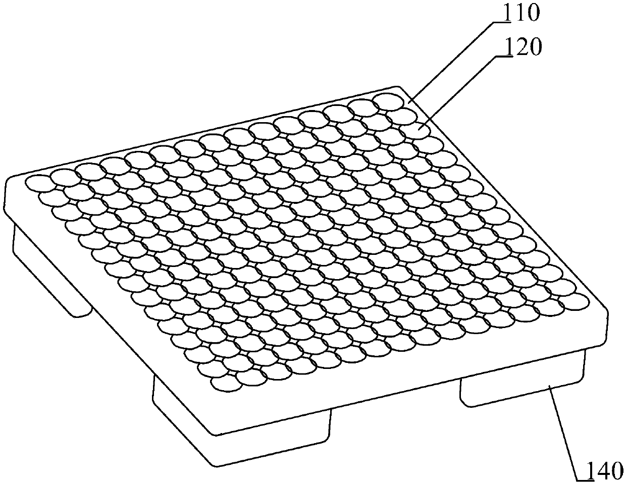 Specimen fixing device and animal mucous membrane tissue specimen producing method