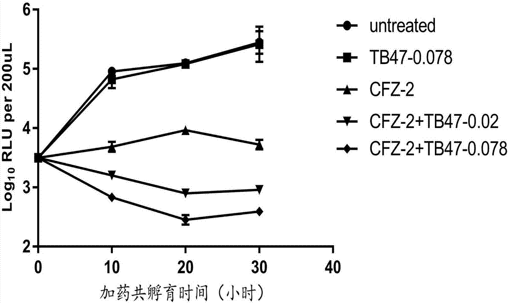 Novel application of pyrazolo[1, 5-a]pyridine compound and composition for treatment of Mycobacterium abscessus infection