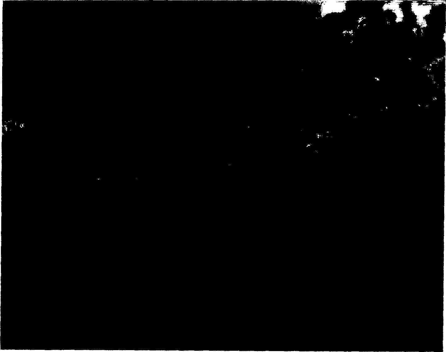 Process for preparing nano-particle modified epoxy resin