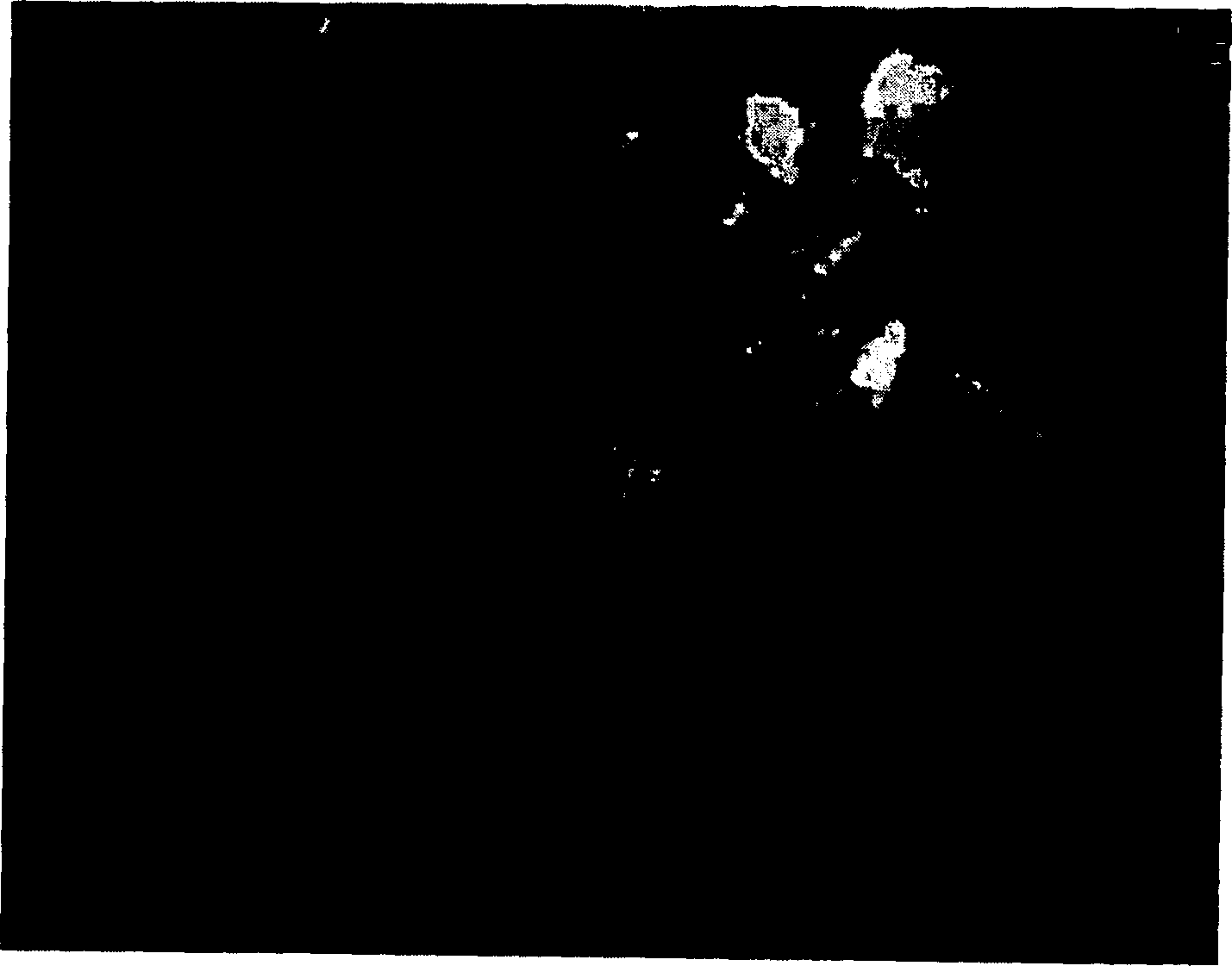 Process for preparing nano-particle modified epoxy resin