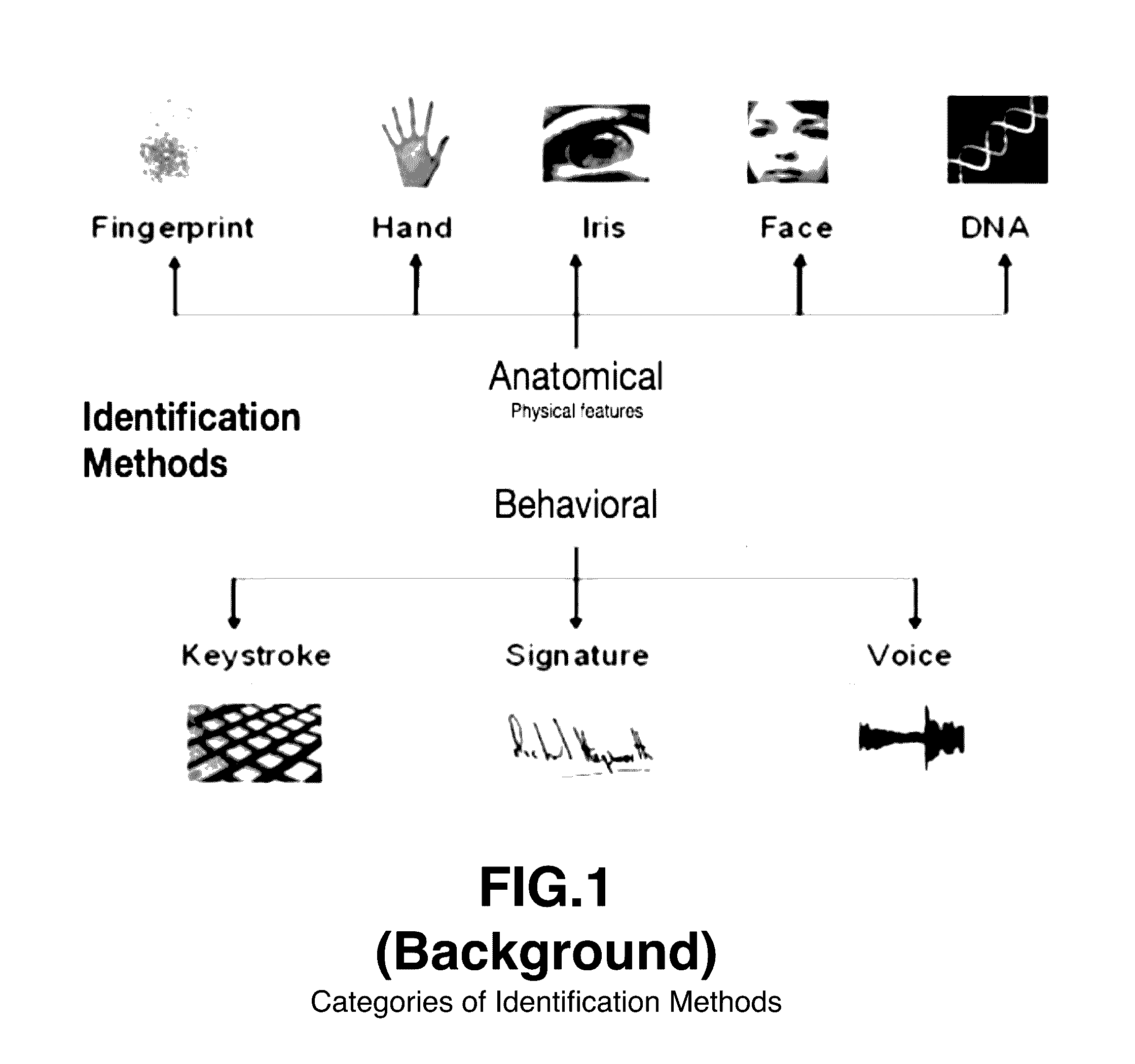 Data encryption/decryption using neuro and neuro-mechanical fingerprints