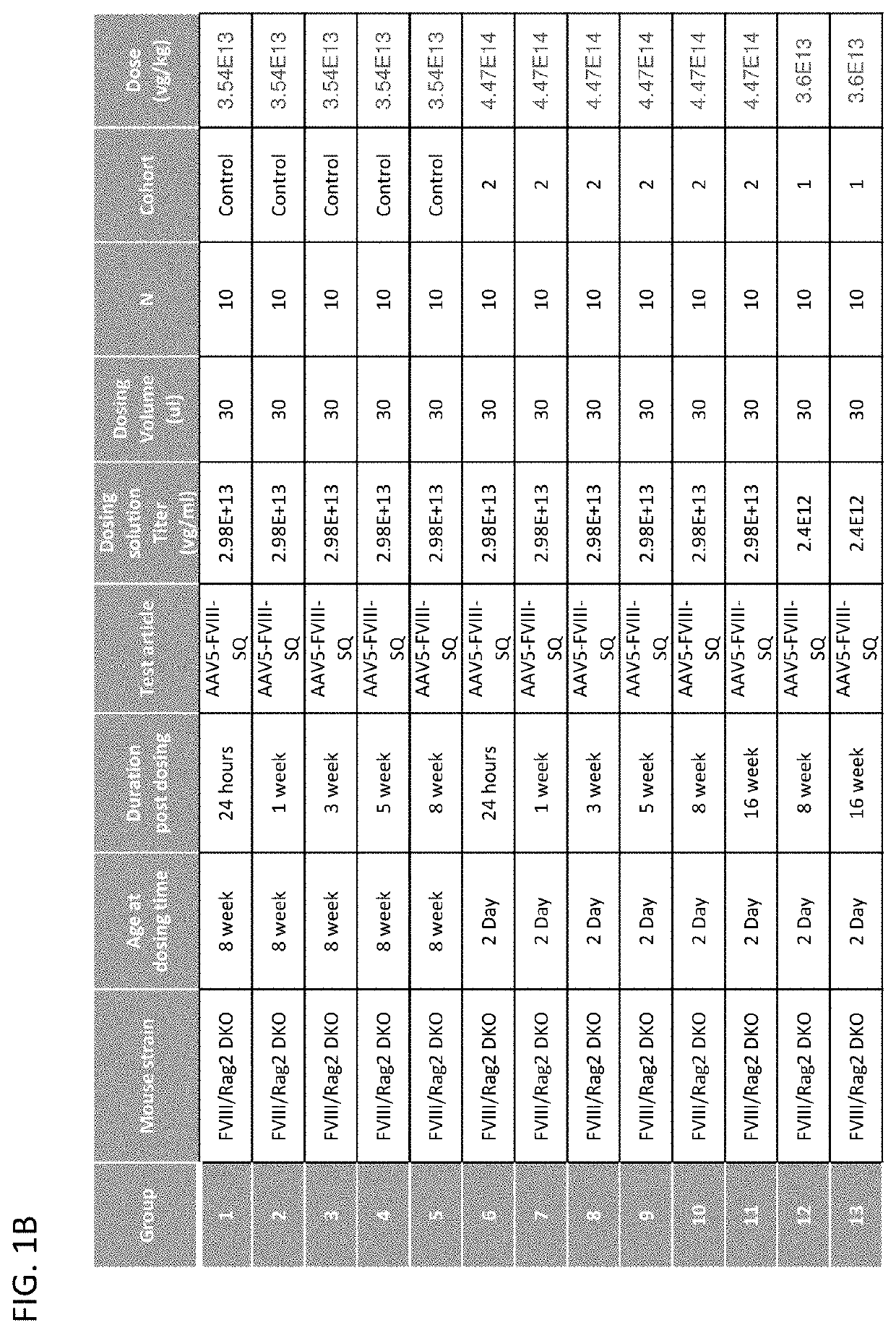 Stable expression of aav vectors in juvenile subjects