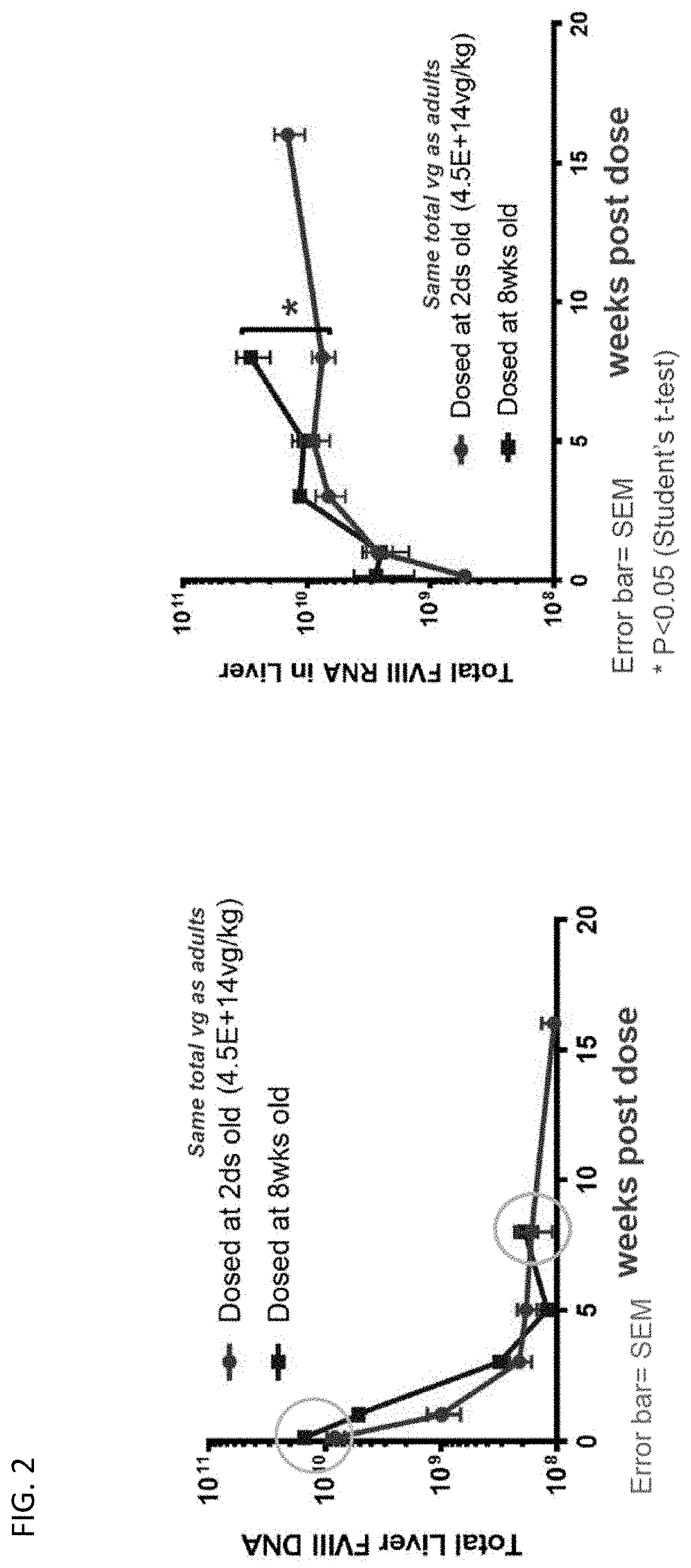 Stable expression of aav vectors in juvenile subjects