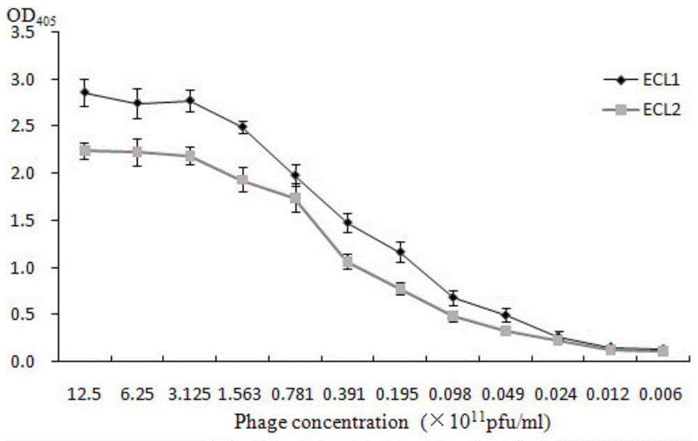 Chemokine receptor 5 antagonist and pharmaceutical composition