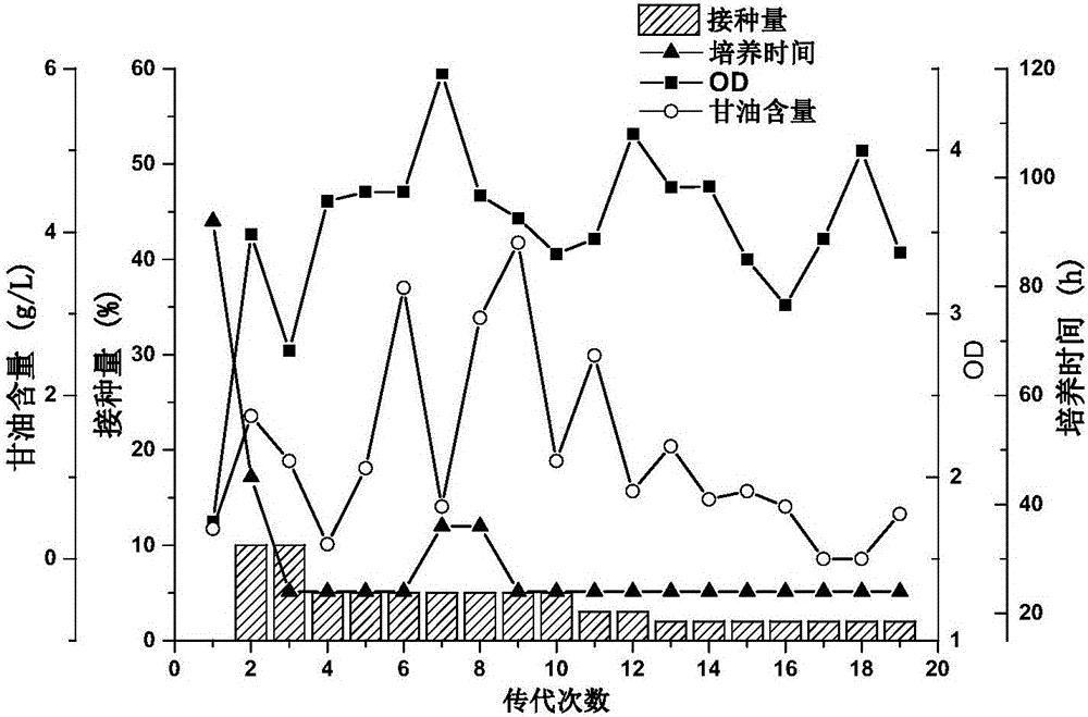 Microbial mixed flora for fermenting to produce 1,3-propanediol and fermentation method