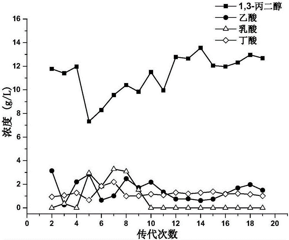 Microbial mixed flora for fermenting to produce 1,3-propanediol and fermentation method