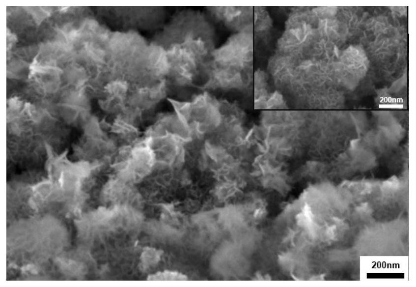 Ni (OH) 2 nanosheet sensor for non-enzymatic glucose detection as well as preparation method and application of Ni (OH) 2 nanosheet sensor