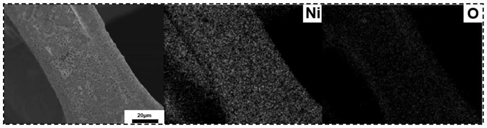 Ni (OH) 2 nanosheet sensor for non-enzymatic glucose detection as well as preparation method and application of Ni (OH) 2 nanosheet sensor