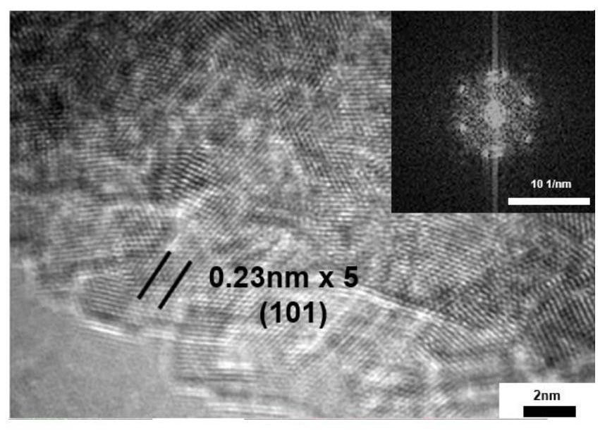 Ni (OH) 2 nanosheet sensor for non-enzymatic glucose detection as well as preparation method and application of Ni (OH) 2 nanosheet sensor