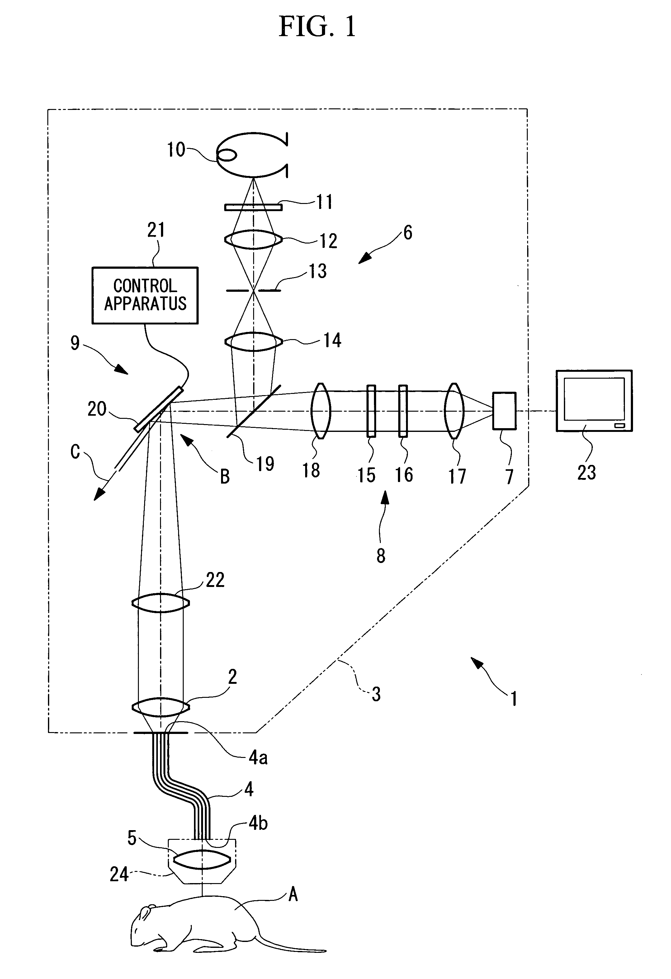 Optical-scanning examination apparatus