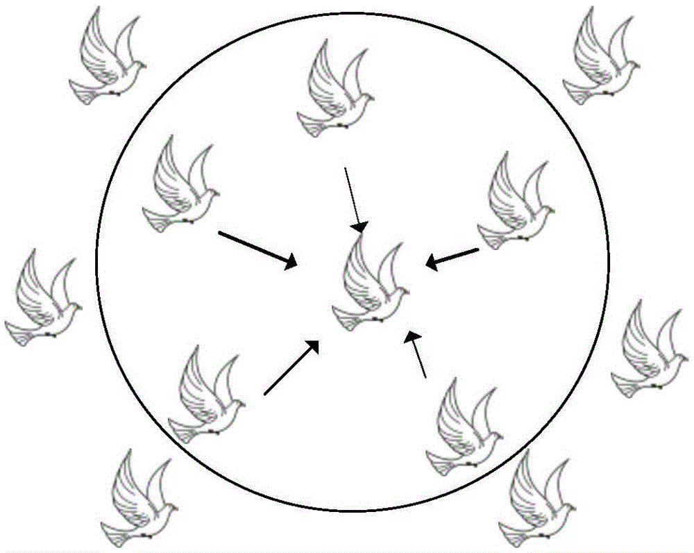 Target tracking method based on pigeon intelligent optimization Kalman filtering parameters