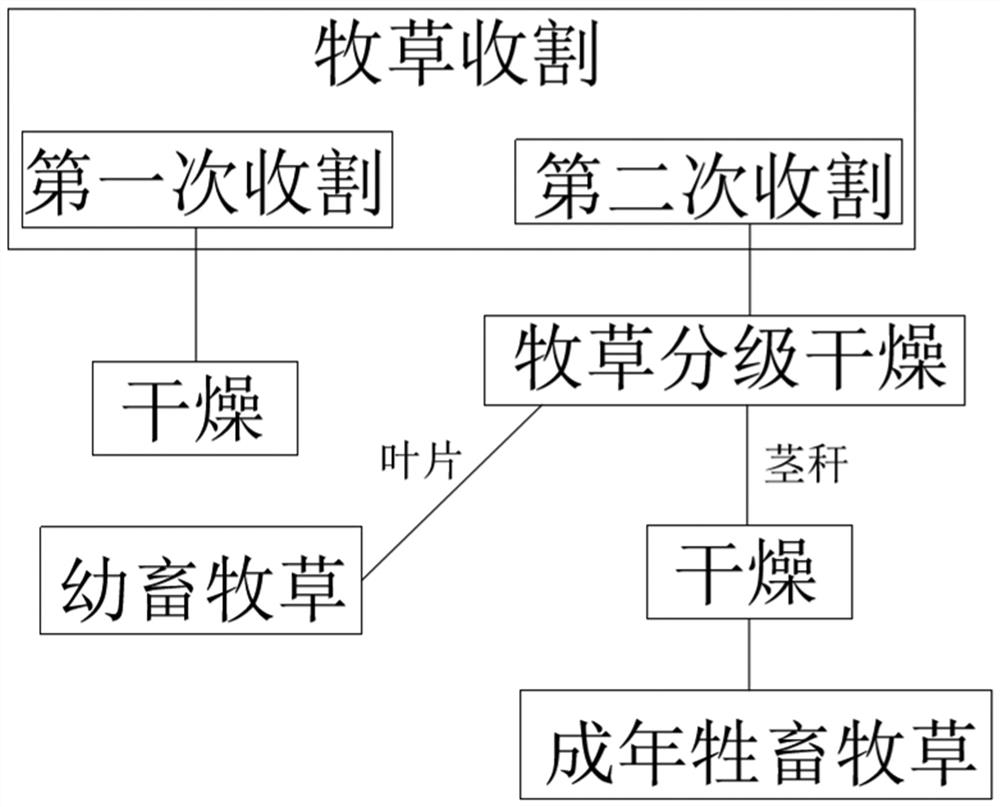 A kind of grass classification drying method