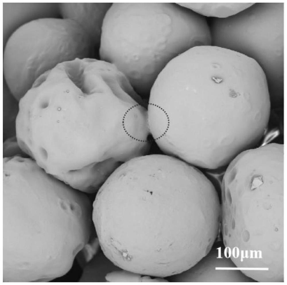 Macroporous hydrogel as well as preparation method and application thereof