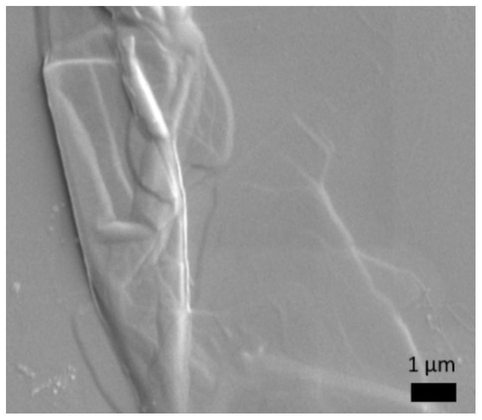 A kind of composite nanocatalyst of mxene and transition metal sulfide based on fiber skeleton and preparation method thereof