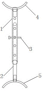 Fruit tree branch distance fixing and keeping method