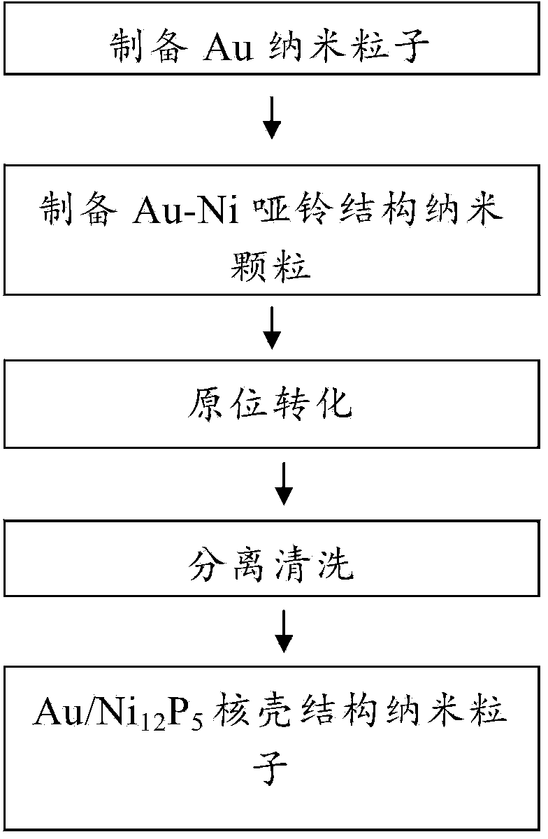 Nano particle of Au/Ni12P5 nuclear shell structure and preparation method thereof