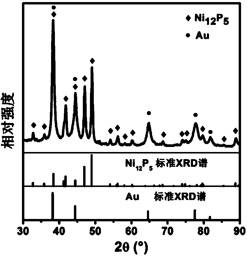 Nano particle of Au/Ni12P5 nuclear shell structure and preparation method thereof