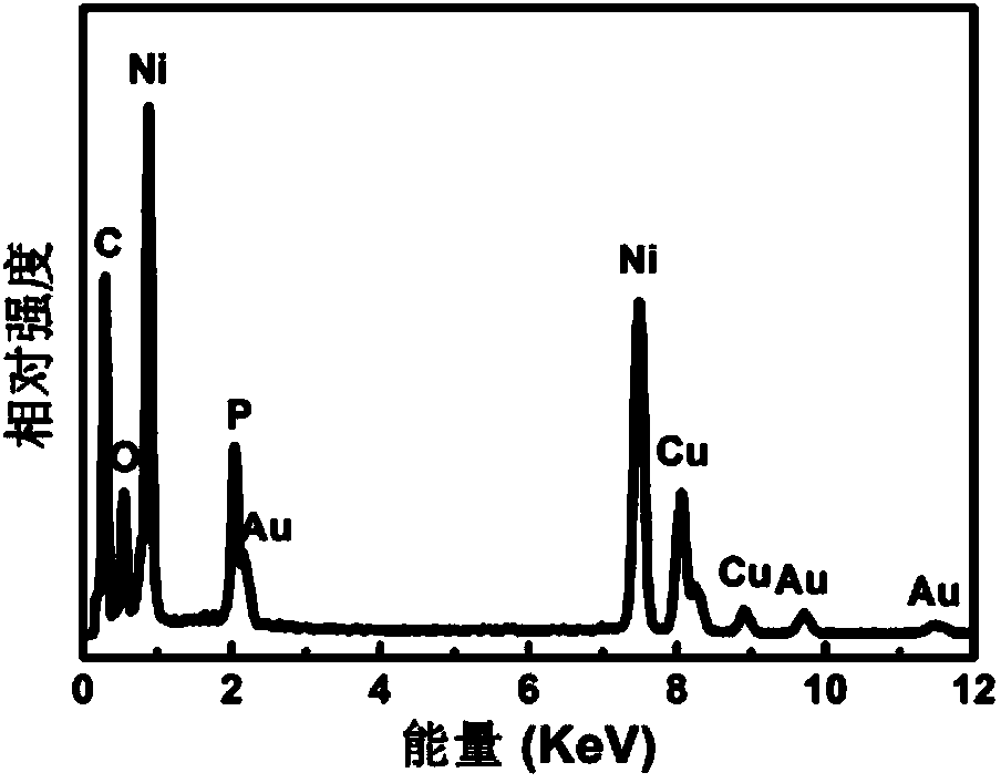 Nano particle of Au/Ni12P5 nuclear shell structure and preparation method thereof