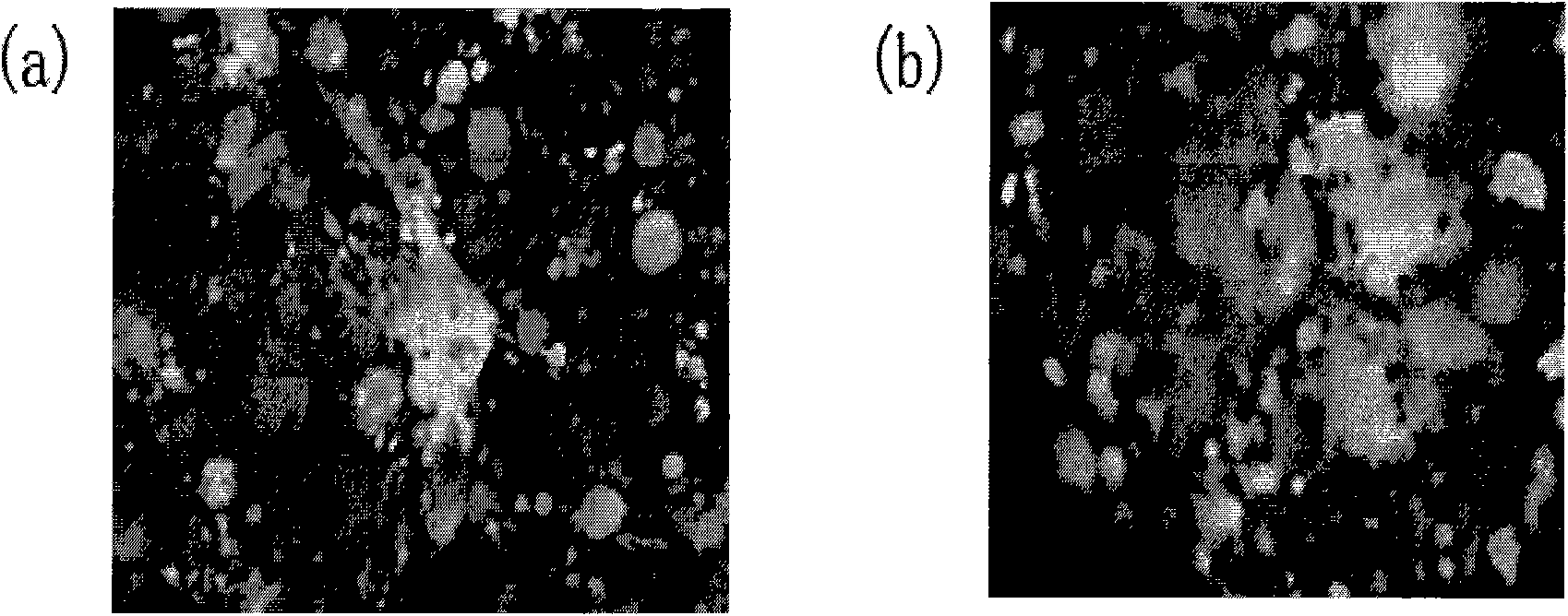 Low-expression CYP7A1 hepatic cell and constructing method thereof