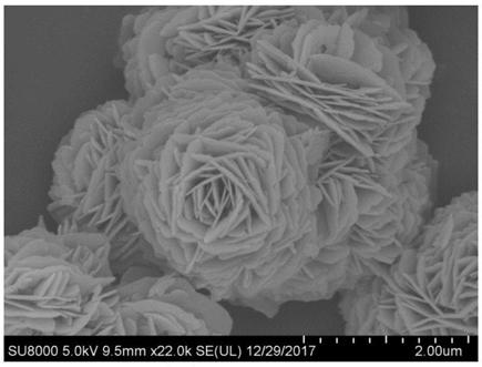 Protonated g-C3N4/BiOBr heterojunction photocatalyst and preparation method