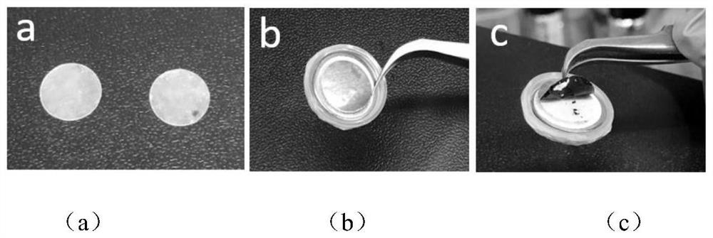 Preparation method and application of succinonitrile-based double-layer composite polymer electrolyte