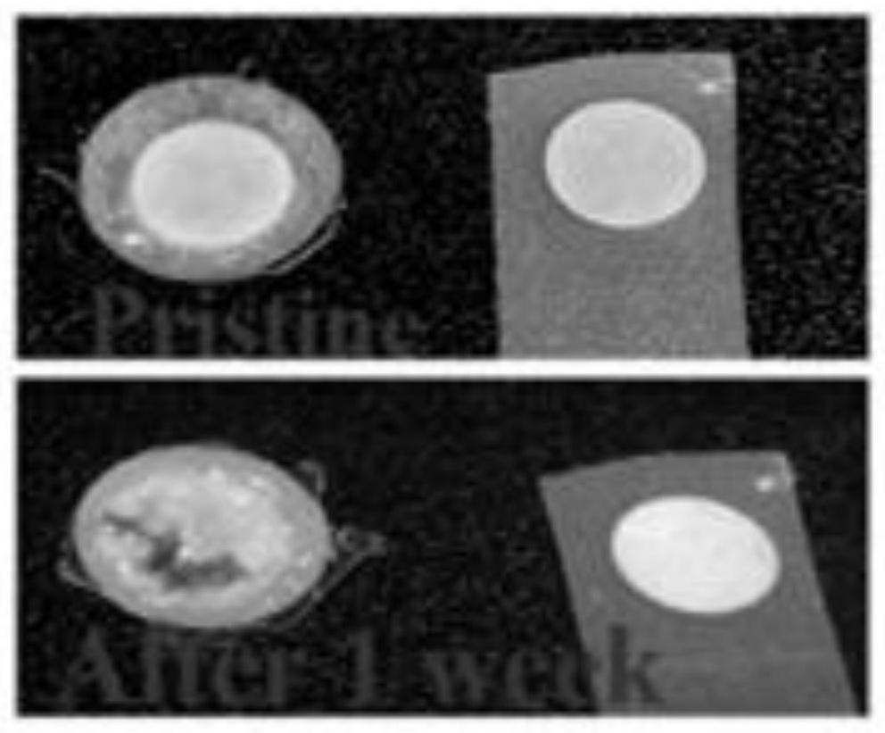 Preparation method and application of succinonitrile-based double-layer composite polymer electrolyte