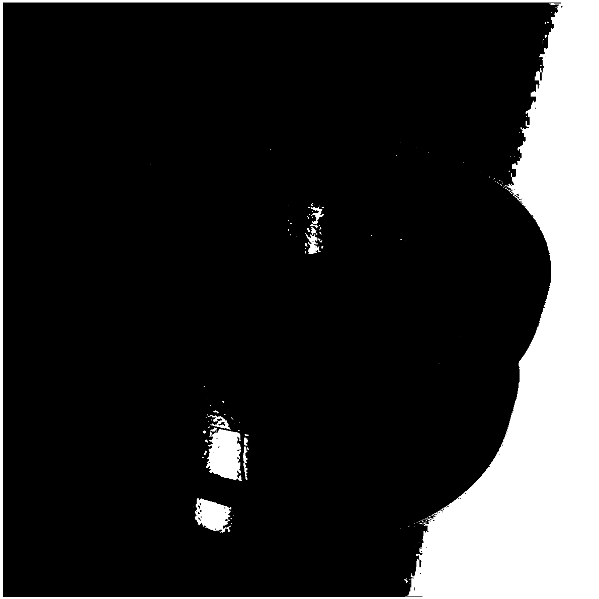 Crack extraction method based on iterative phase consistency and application