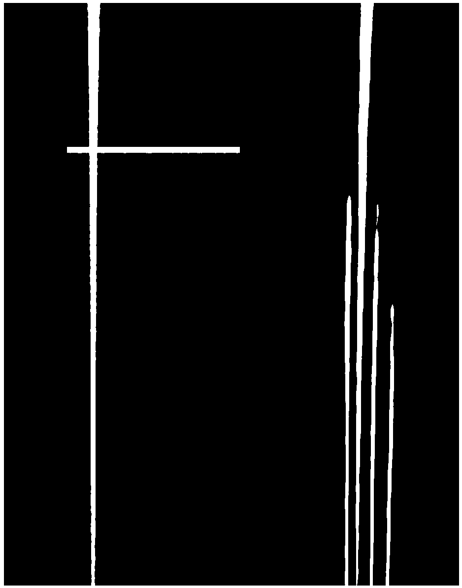 Crack extraction method based on iterative phase consistency and application