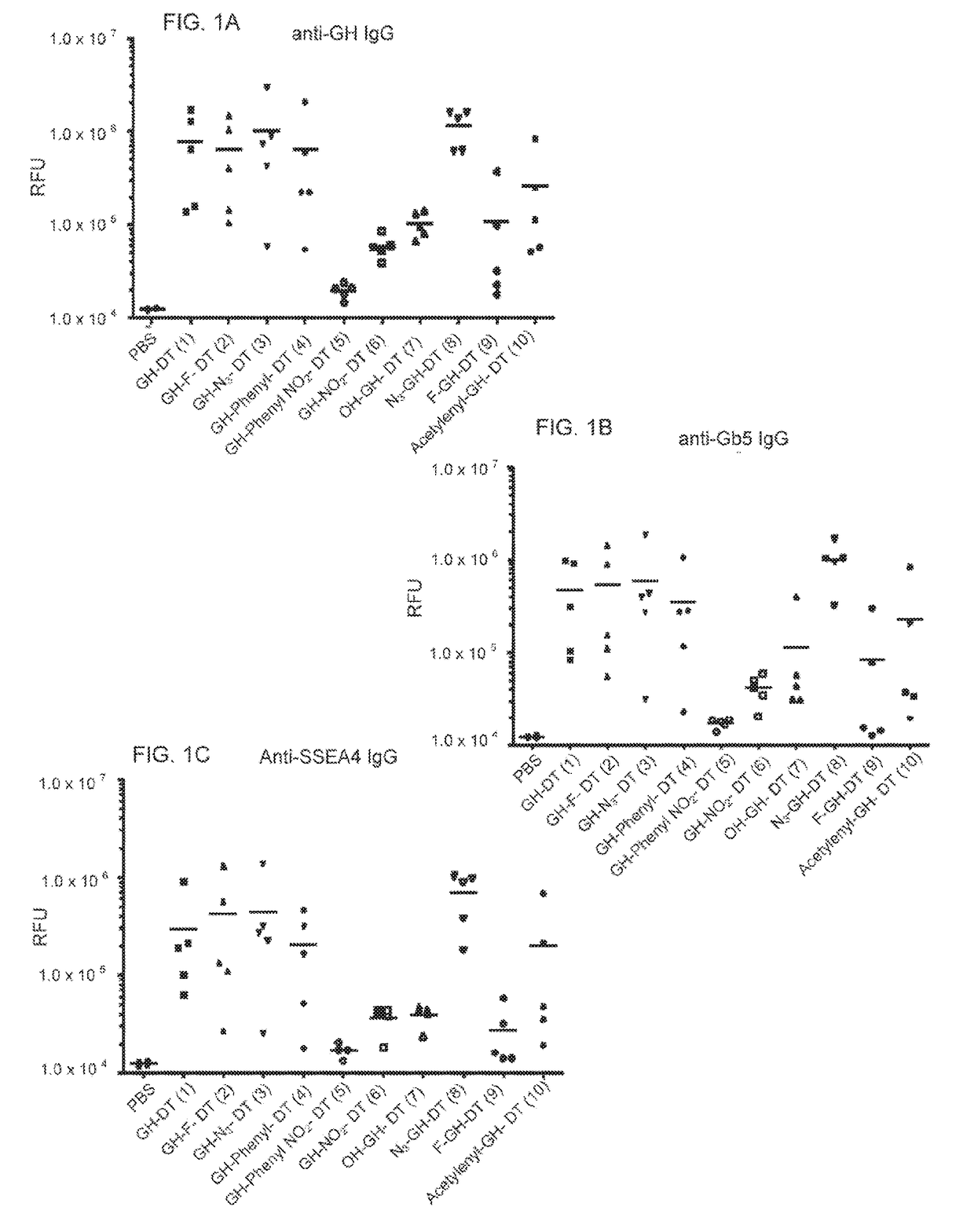 Novel glycan conjugates and use thereof