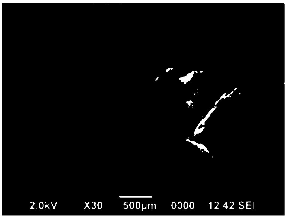 Plastic bone graft material capable of enhancing and accelerating bone formation and its preparation method