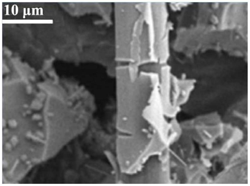 Heusler alloy Fe2CoAl/C self-supporting composite material for lithium electrode as well as preparation method and application of Heusler alloy Fe2CoAl/C self-supporting composite material