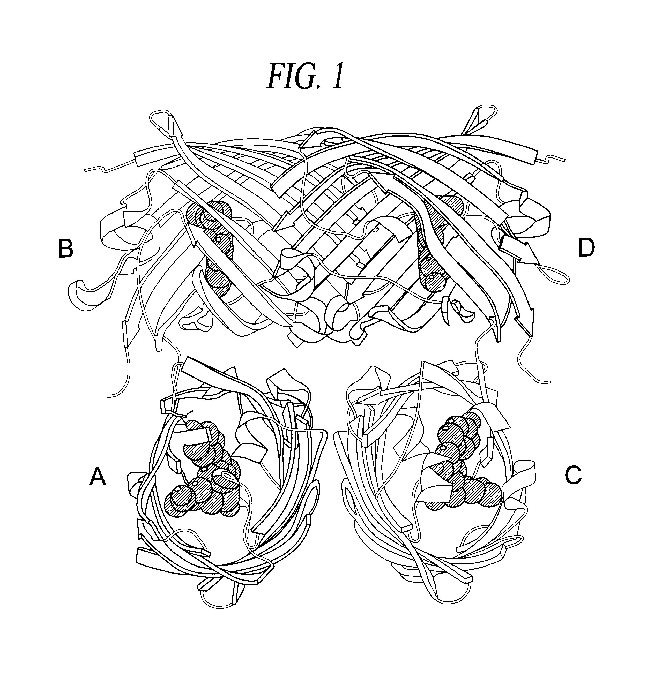 Monomeric and dimeric fluorescent protein variants and methods for making same