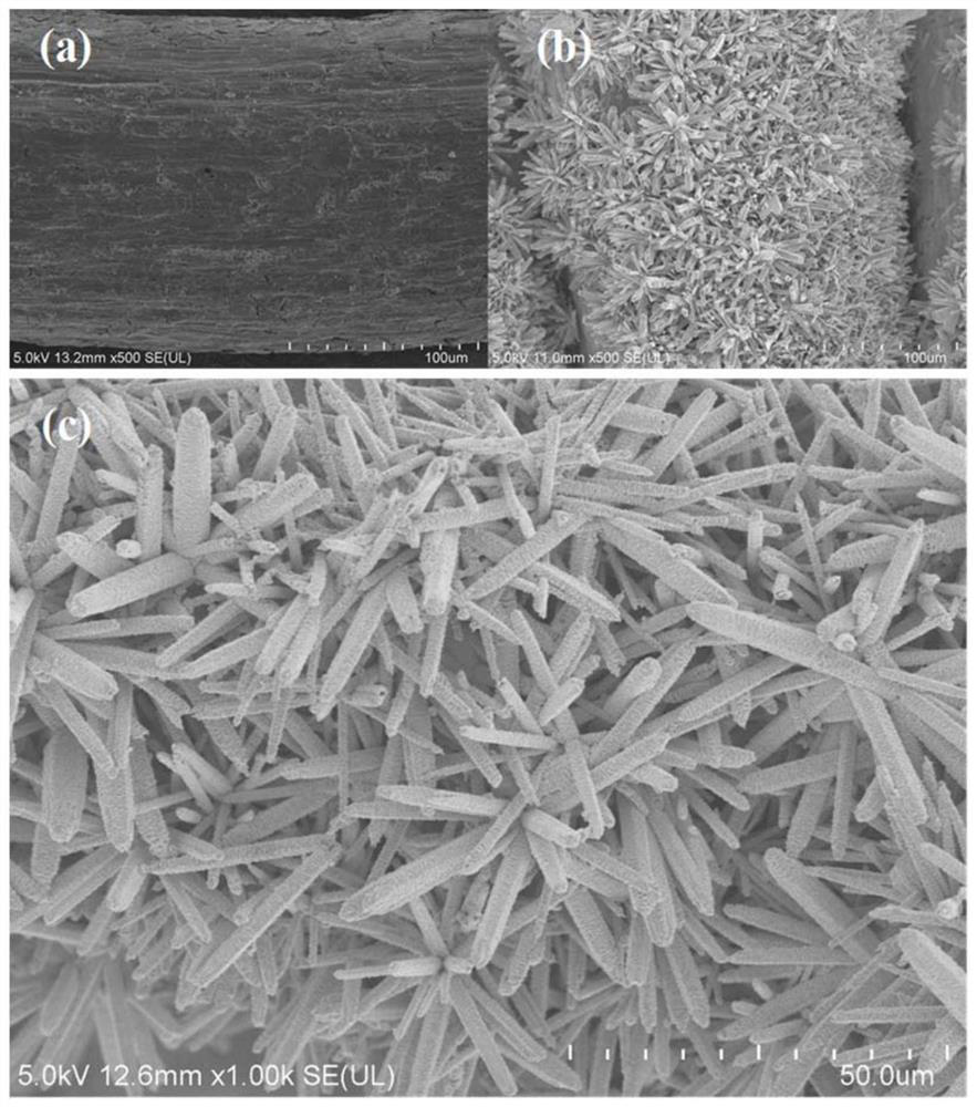 CdS/NiS2 block photocatalyst, preparation method and application thereof