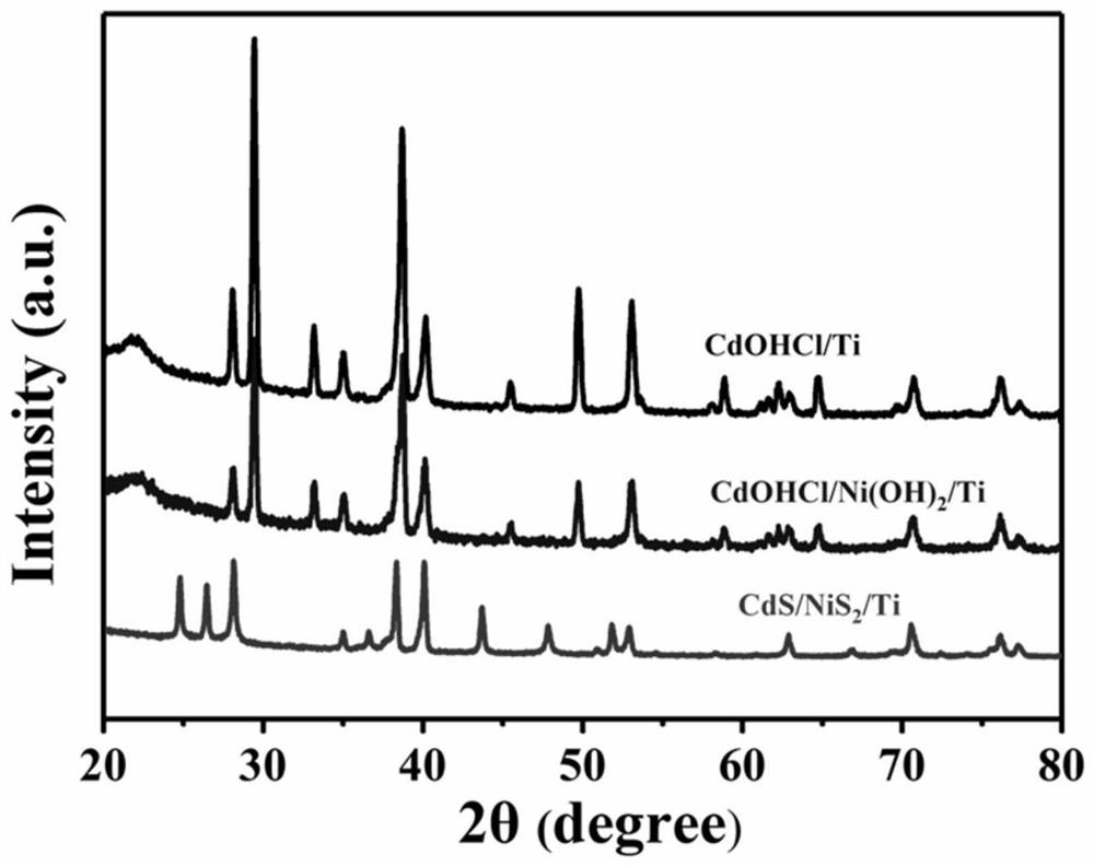 CdS/NiS2 block photocatalyst, preparation method and application thereof