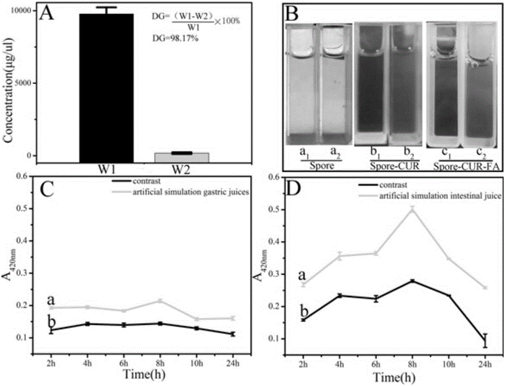 Probiotics folic acid targeting carrier carrying anti-cancer medicament curcumin and preparation method thereof