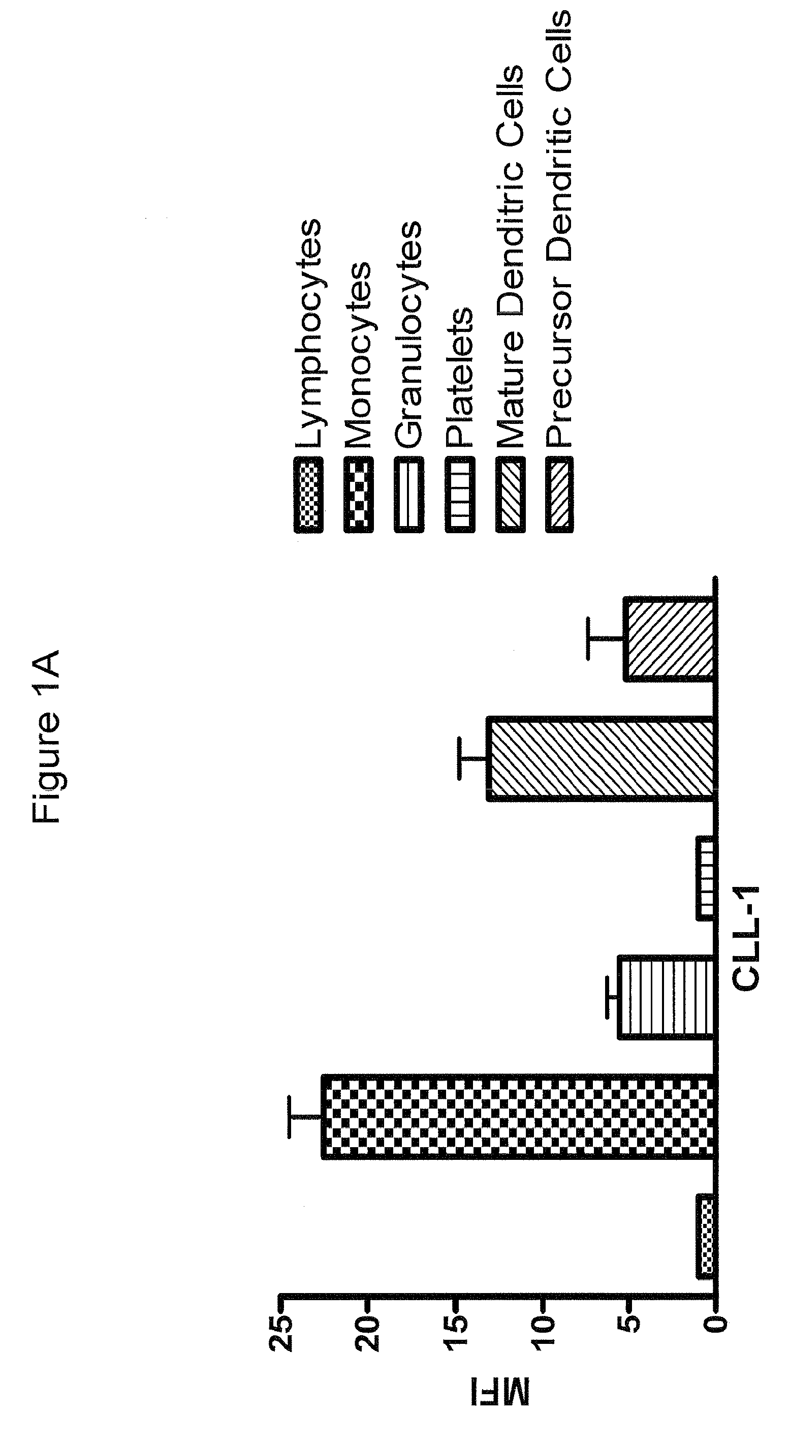 Antibodies to cll-1