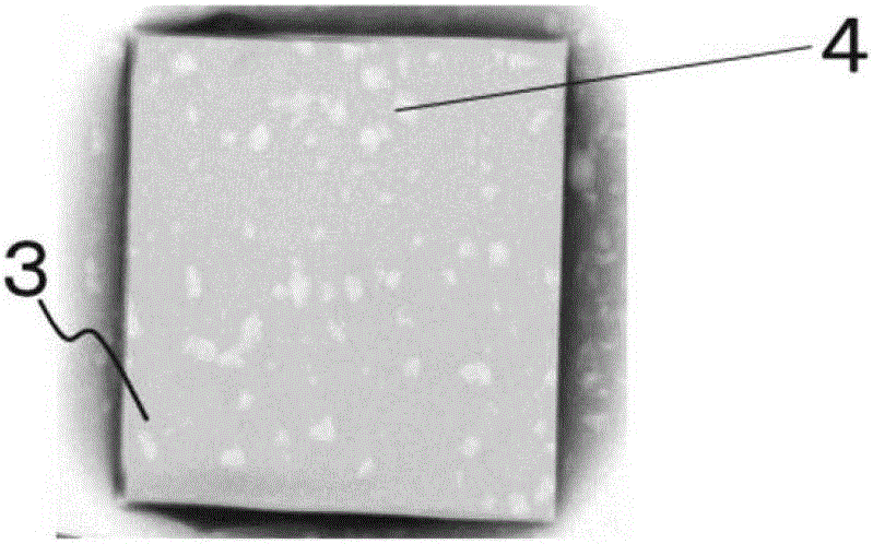 Conductive composition and electronic component using same