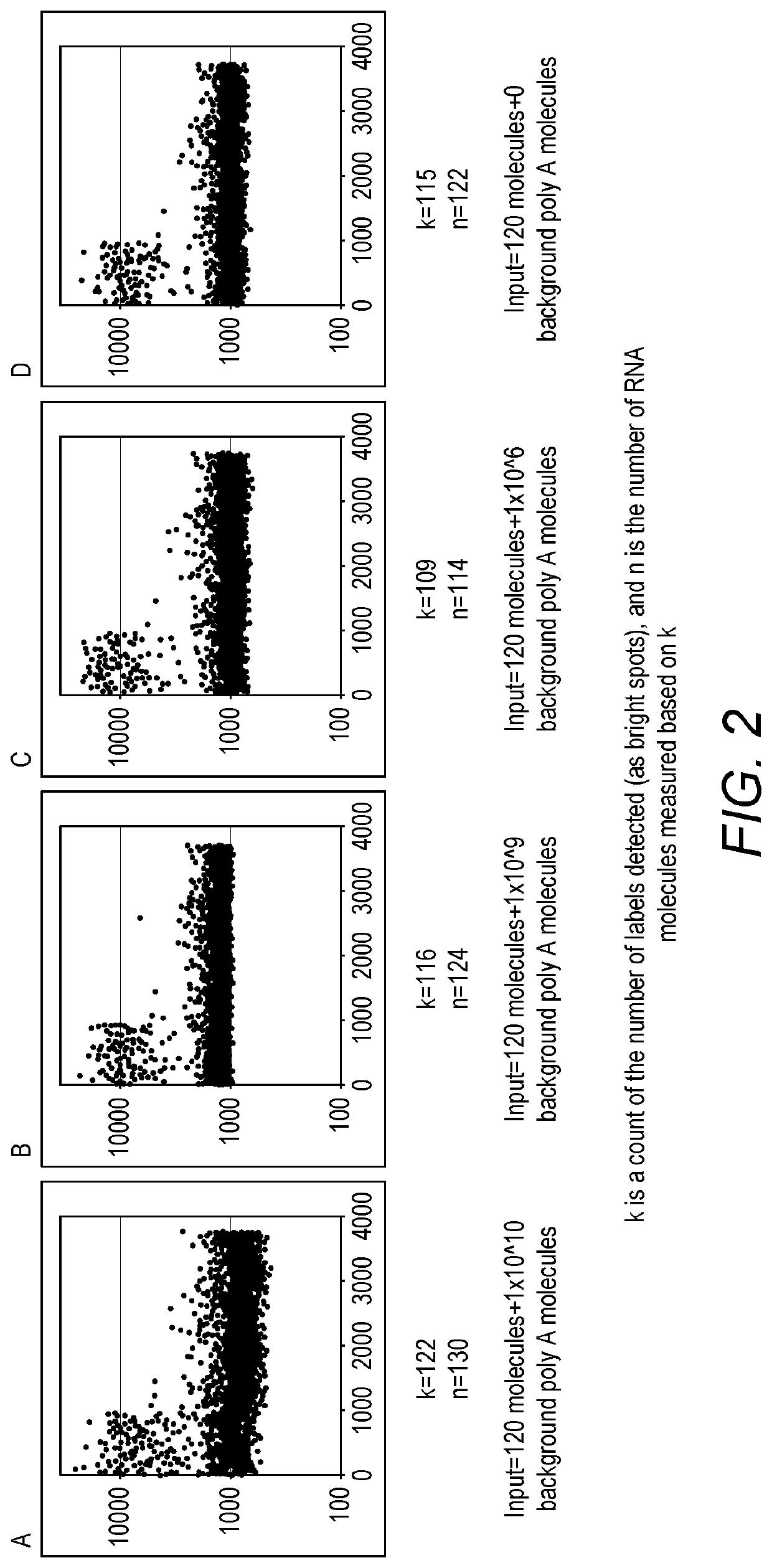 Compositions and kits for molecular counting