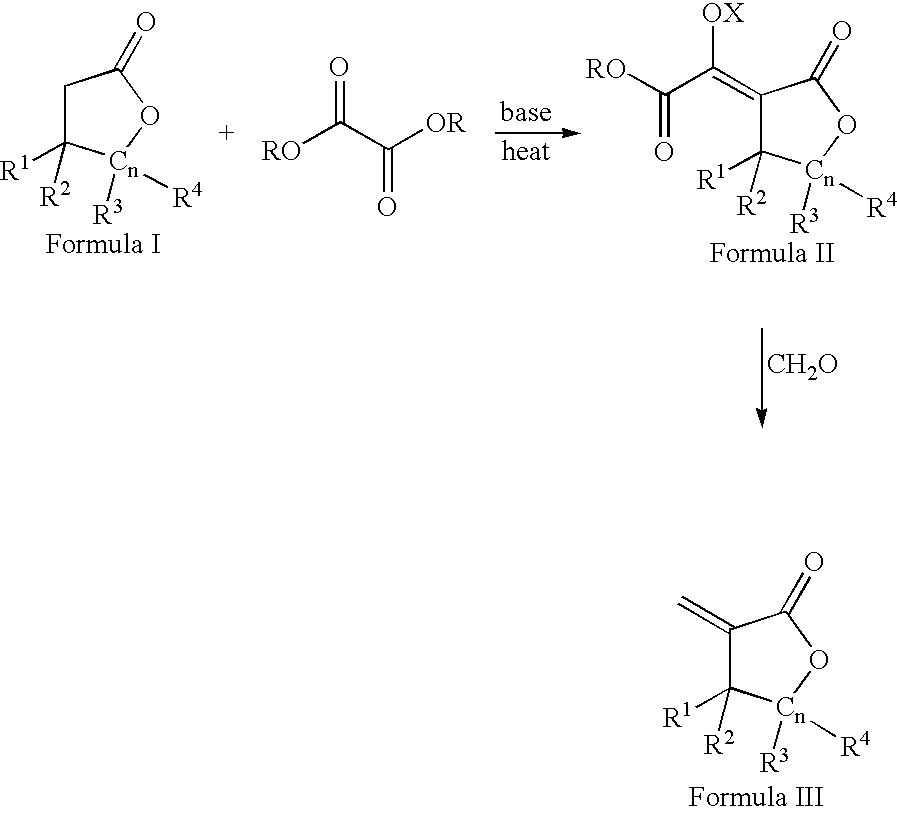 Process for the preparation of a-methylenelactones and a-substituted hydrocarbylidene lactones