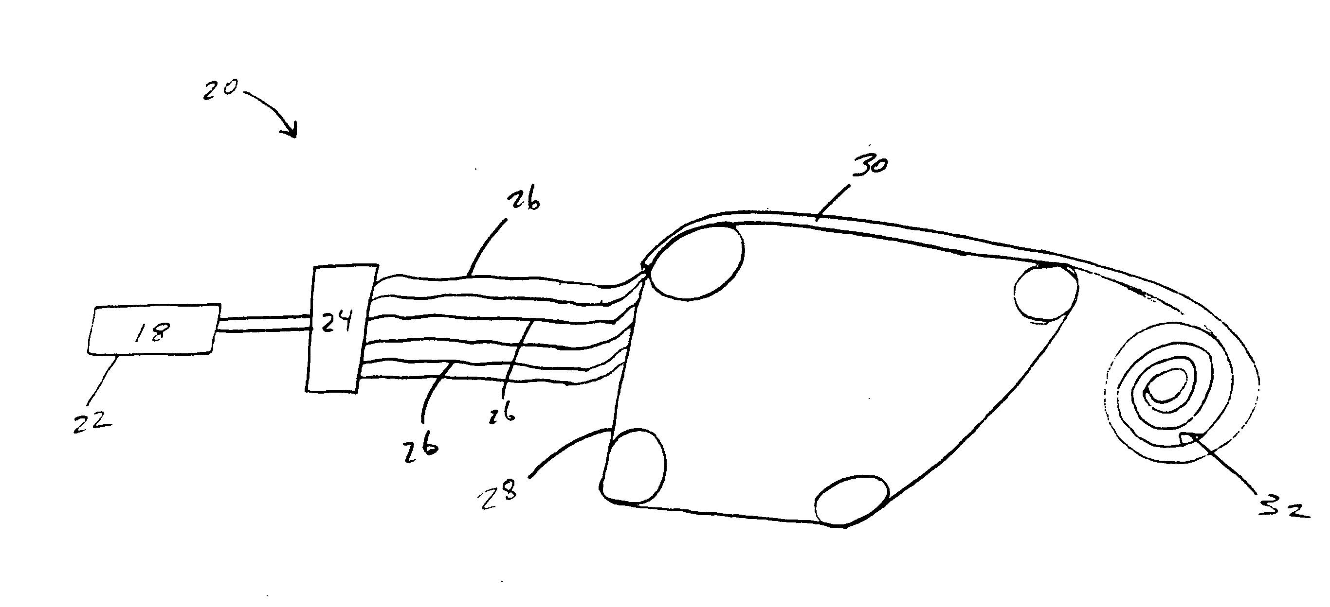 Fibers comprising hemicellulose and processes for making same