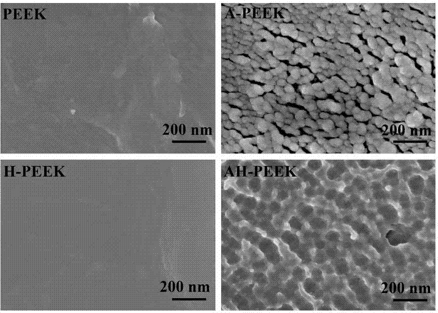 Polyether-ether-ketone material and surface modification method thereof