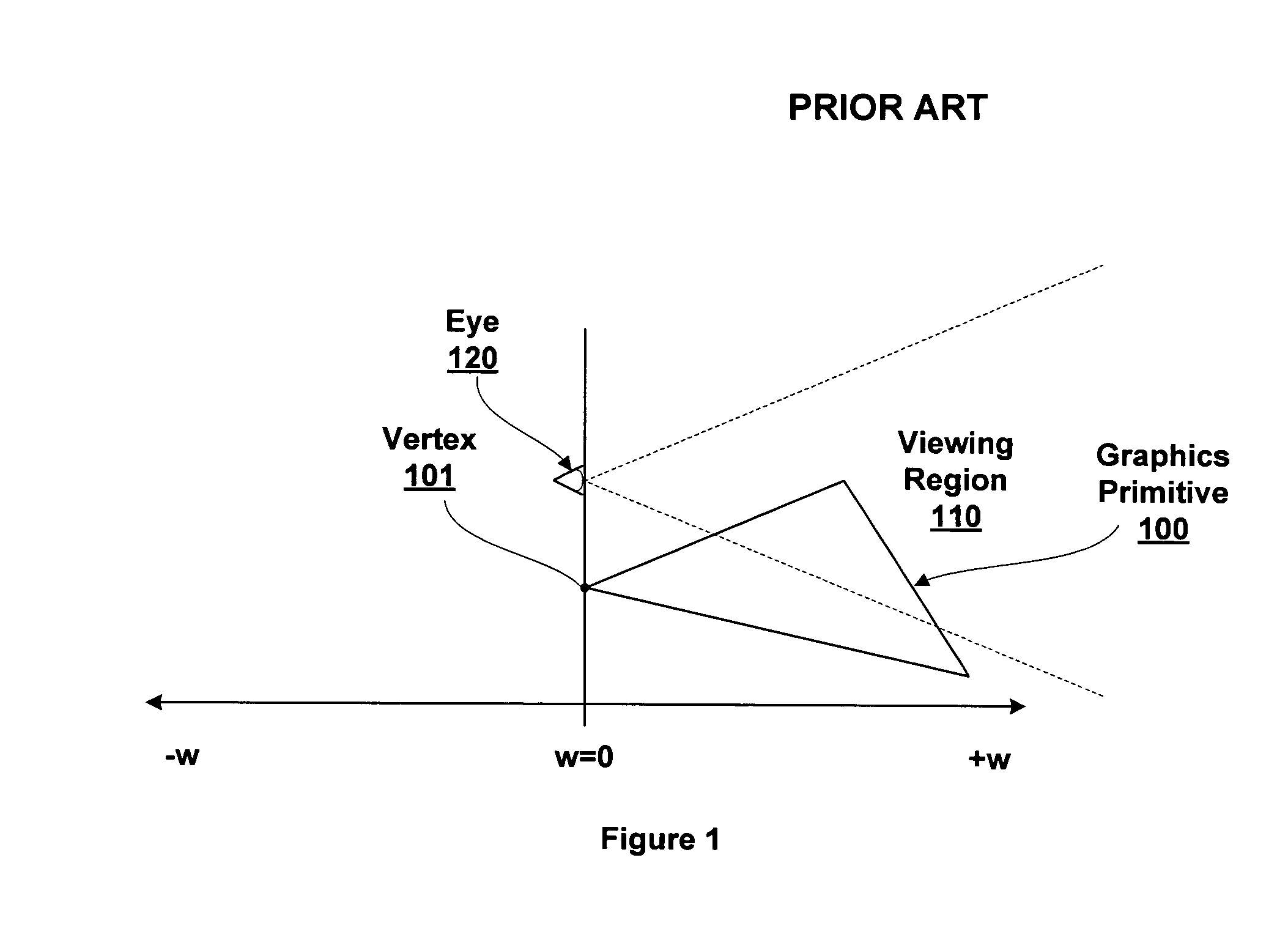 Vertex processing when w=0