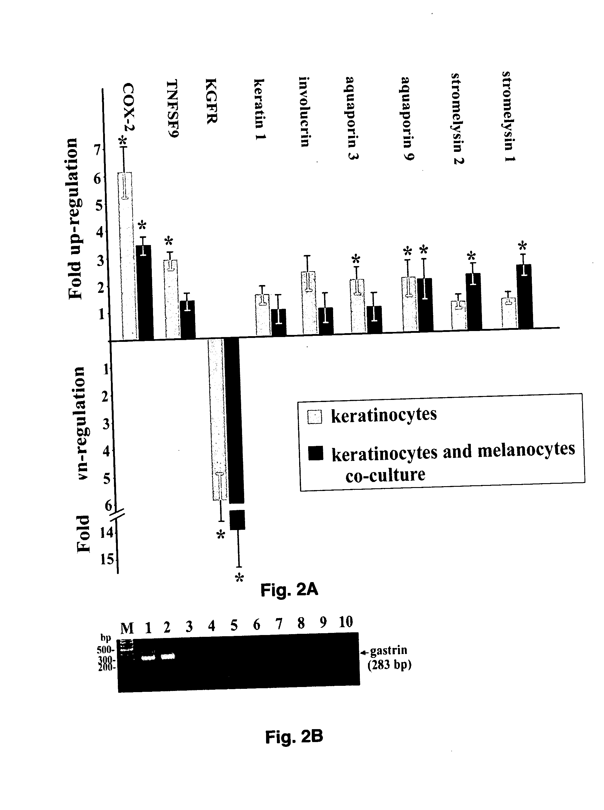 Microarray for evaluation of stress-related genes in skin