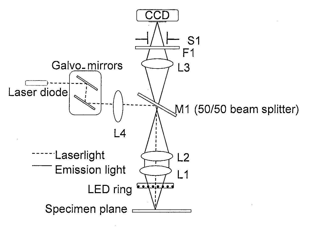 Methods and System for Image Guided Cell Ablation with Microscopic Resolution