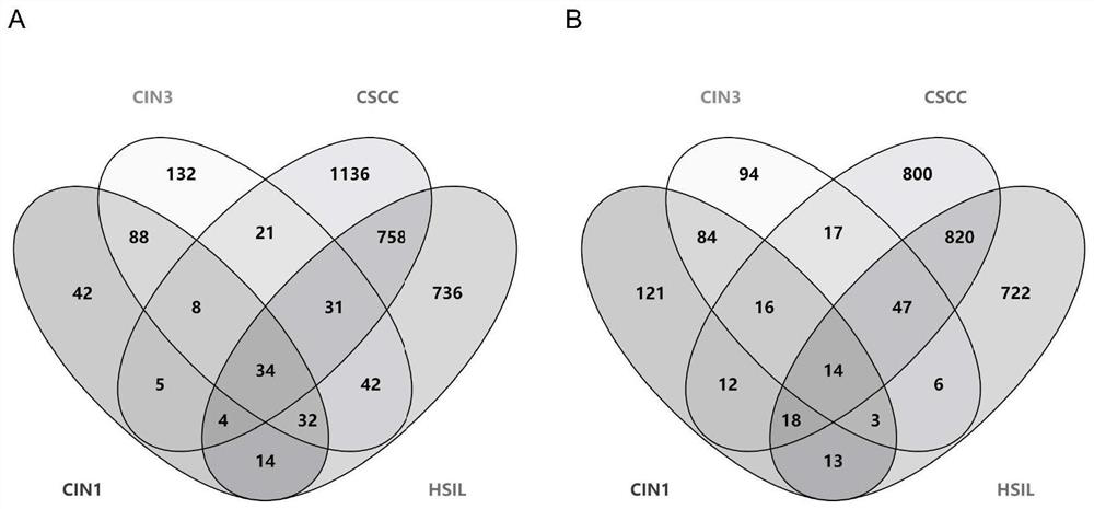 Molecular markers for screening and diagnosing early stage of cervical lesion and application of molecular markers