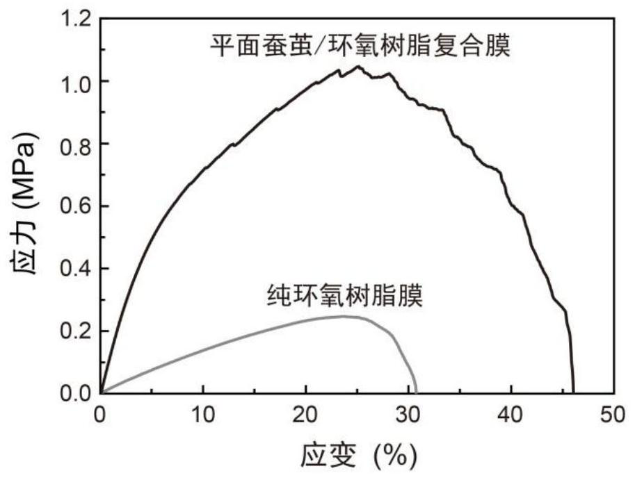 Method for enhancing tear resistance of polymer membrane material by using planar silkworm cocoon and composite membrane material thereof