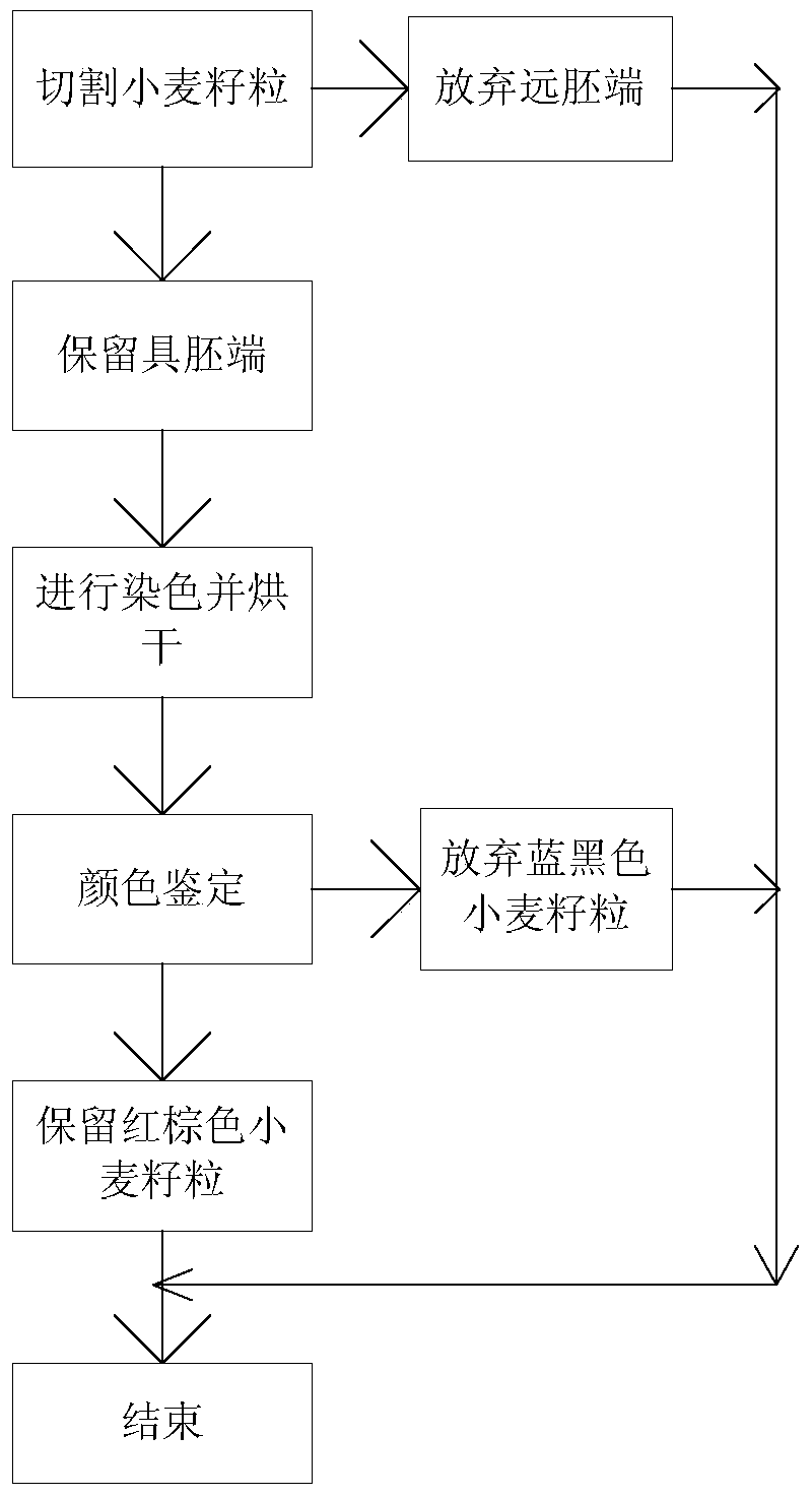 Overall planning method for large-scale glutinous wheat grain identification